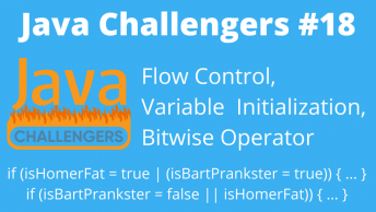 Flow Control Variable Initialization Bitwise Operator