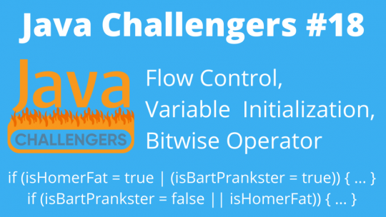 Flow Control Variable Initialization Bitwise Operator