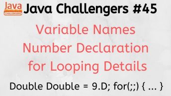 variable names_forlooping_numberdeclarations