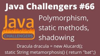 Polymorphism_static_methods_and_shadowing_66
