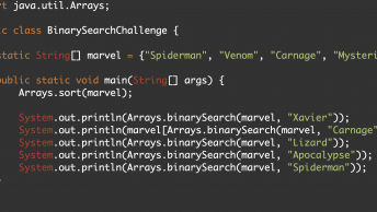binary search java