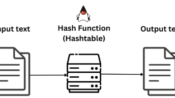 A hash algorithm hashes an input text, generating the hashed output.